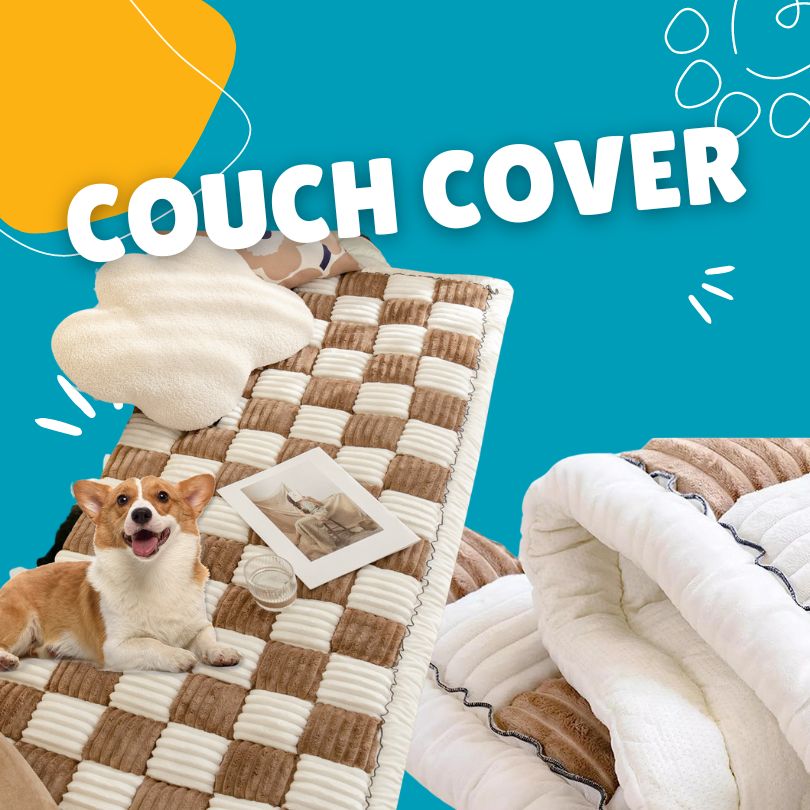 Couch Cover