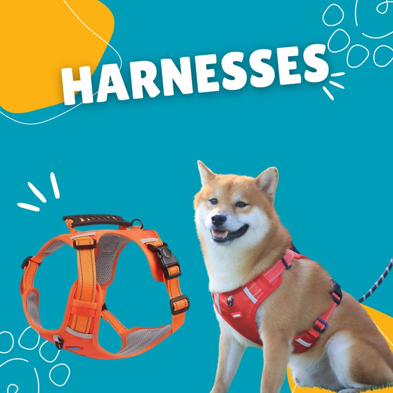 Harnesses