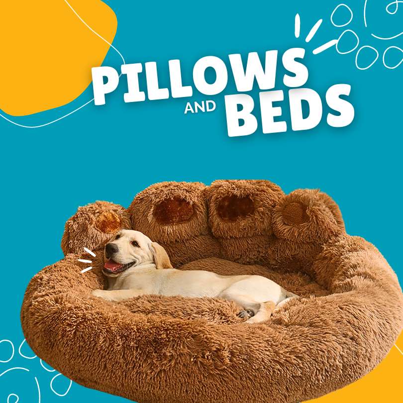 Pillows/Beds